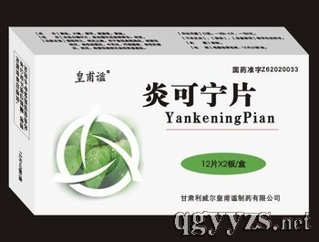 皇甫谧--炎可宁片产品图片