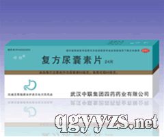 复方尿囊素片(消化)产品图片