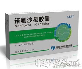 Norfloxacin Capsules 北京京丰制药有限公司