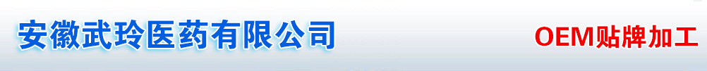安徽武玲医药有限公司