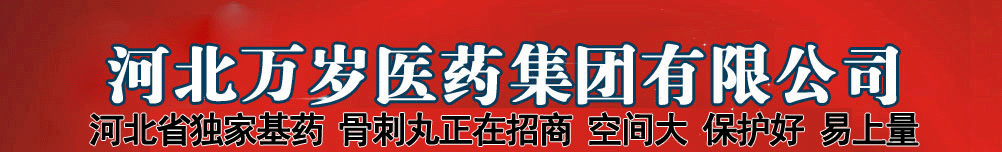 �ӱ�����ҽҩ�������޹�˾