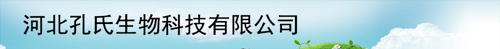 �ӱ���������Ƽ����޹�˾