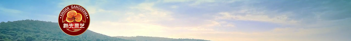 ����������ҩ���޹�˾