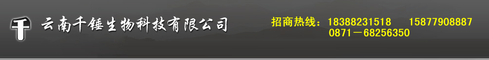 云南千锤生物科技有限公司