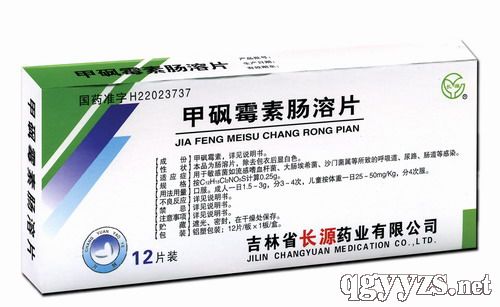 ����ù�س���Ƭ