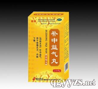 补中益气丸（浓缩丸240粒）
