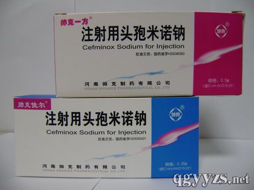 ע����ͷ����ŵ��