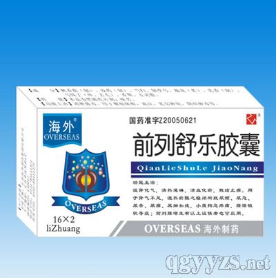 ǰ�����ֽ���