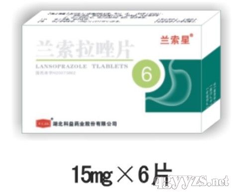 ��������Ƭ