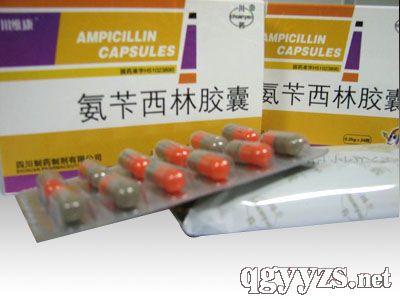 �������ֽ���