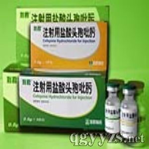 ע��������ͷ�����