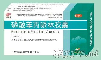 ���ᱽ�����ֽ���