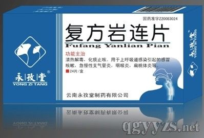 ��������Ƭ