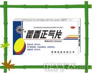 ޽������Ƭ