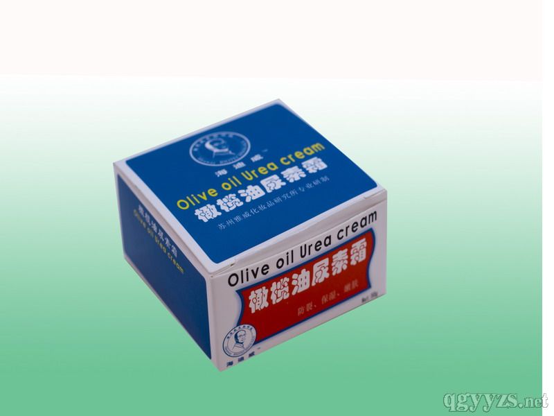 ����������˪