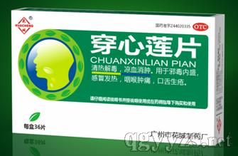 ������Ƭ