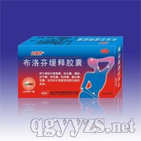 ����һ��ͽ���