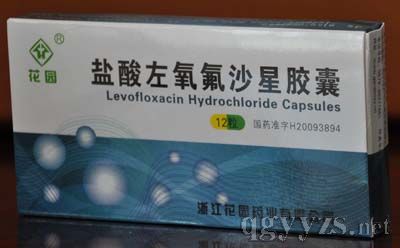 ����������ɳ�ǽ��ң���԰��