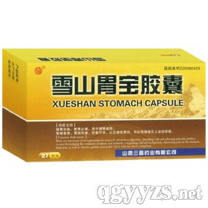 ѩ��θ������