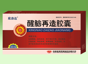 醒脑再造胶囊(心脑血管类药物)