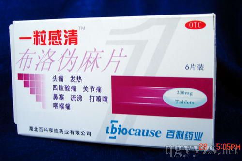 ����α��Ƭ(һ������)