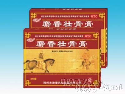 ����׳�Ǹࣨ8Ƭ��