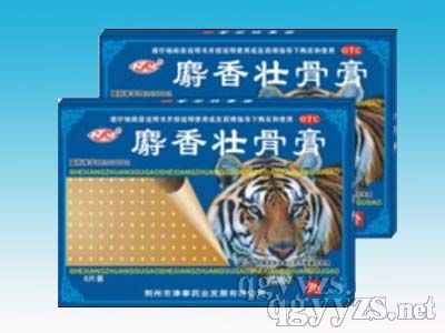 ����׳�Ǹࣨ6Ƭ��