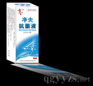 ��ȫ���򿵼׸�