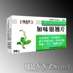 加味银翘片