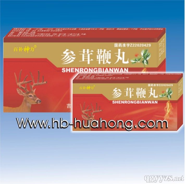 ���ױ���