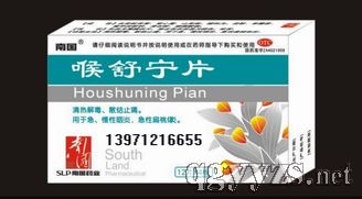 ������Ƭ���㶫�Ϲ���