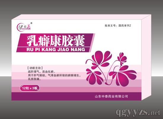 ��񱿵����