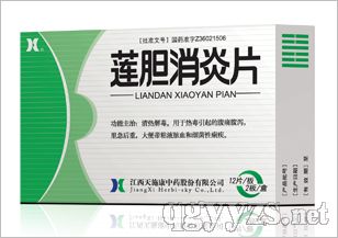 ��������Ƭ