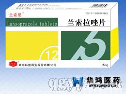 ��������Ƭ