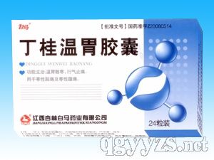 丁桂温胃胶囊