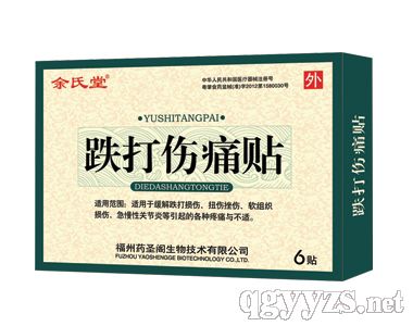 跌打伤痛贴（余氏堂）