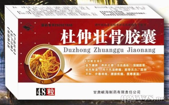 ����׳�ǽ���