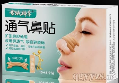 ѩ�����ͨ������13Ƭװ