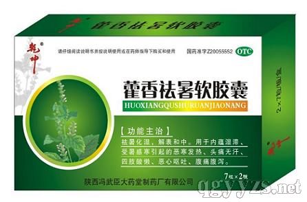 藿香祛暑软胶囊