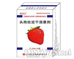 ���뱦��®ͷ�������ɻ�����