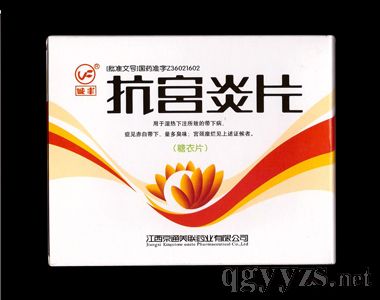 ������Ƭ