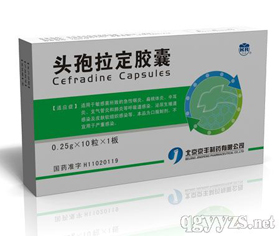 ͷ����������0.25g*10��*1��