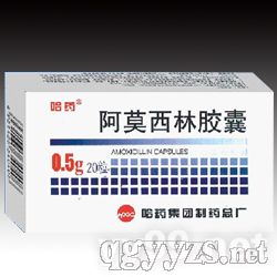 ��Ī���ֽ���