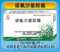 ŵ��ɳ�ǽ���