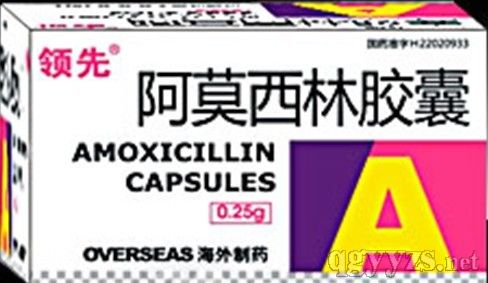 ��Ī���ֽ���