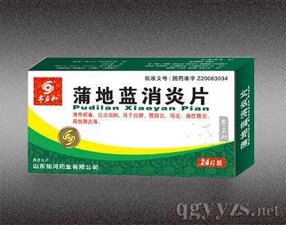 �ѵ�������Ƭ24Ƭ