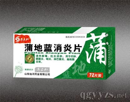 �ѵ�������Ƭ