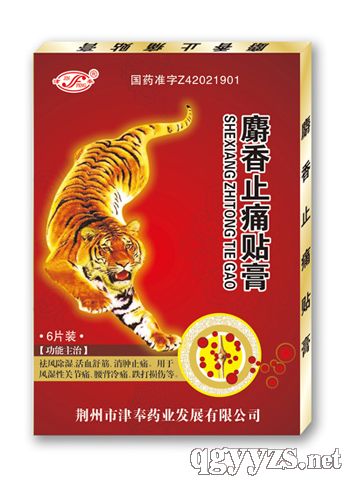 ����ֹʹ���ࣨ12����