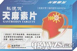 ������Ƭ