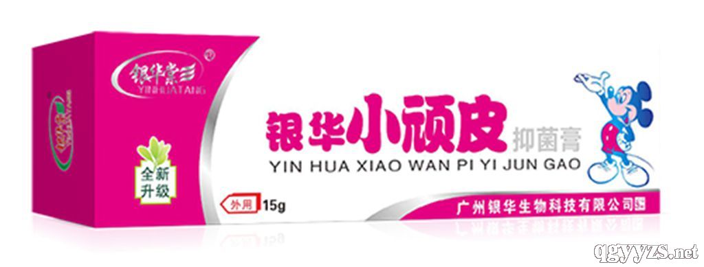 银华小顽皮